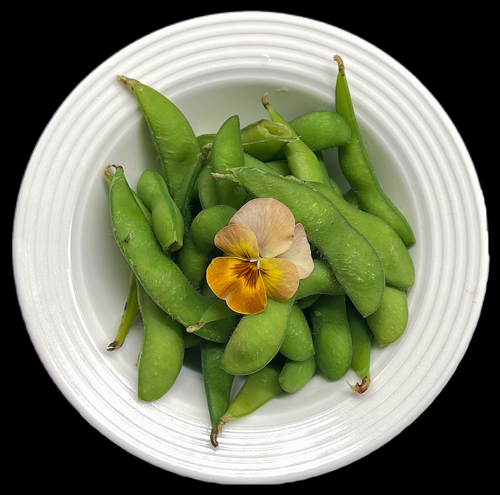 Edamame